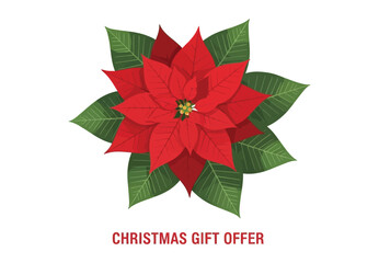 A bright red poinsettia flower with green leaves, signaling a Christmas gift offer.