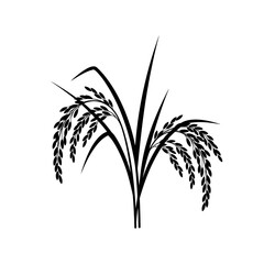 Obraz premium Palm Grass Plant Line Illustration