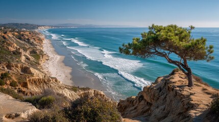 Fototapeta premium Scenic Day at Torrey Pines State Beach: A Coastal Landscape Surrounded by Majestic Pines in San Diego, California
