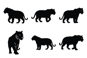 tiger vector icon set