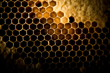 Close up of Honeycomb on black background.