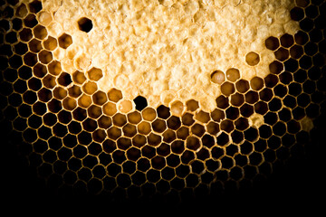Close up of Honeycomb on black background.