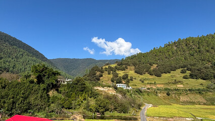 kerala god's own country