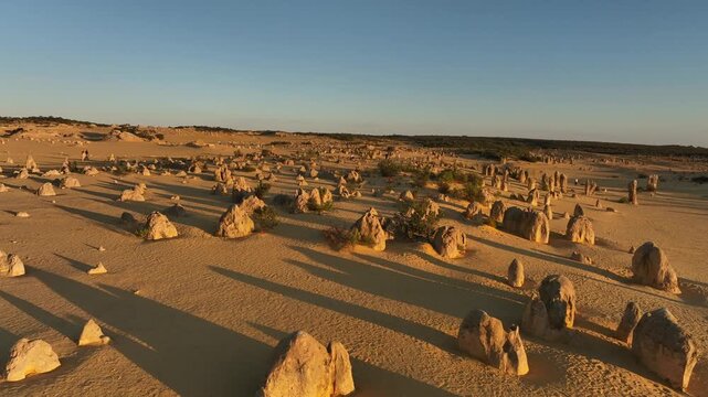 Aerial view of the Pinnacles Desert, with its unique limestone formations casting long shadows across the golden sand, Nambung, Western Australia, Australia.