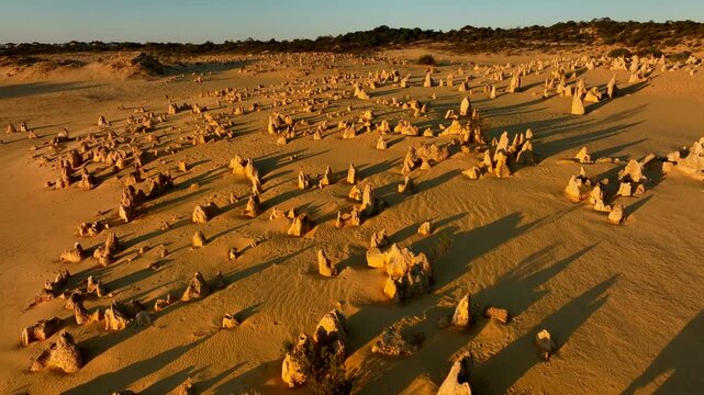 Aerial view of the golden Pinnacles Desert landscape, featuring striking limestone formations and shadows in the expansive sandy terrain, Nambung, Western Australia, Australia.