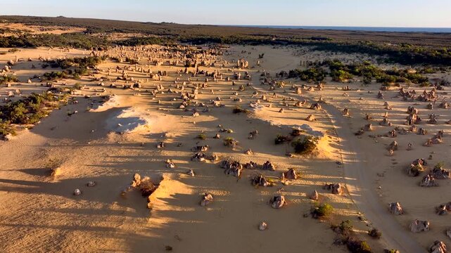 Aerial view of the Pinnacles desert, a landscape dotted with unique limestone formations, bathed in the warm glow of the setting sun, Nambung, Western Australia, Australia.