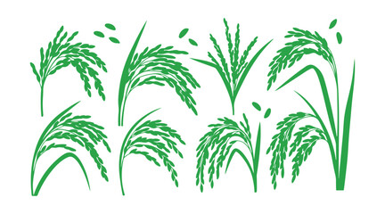 Obraz premium Green silhouette artwork showcasing rice ears 