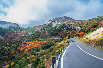Colored Autumn leaves of Bandai-Azuma Skyline with Autumn leave background, Fukushima City, Japan