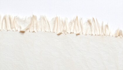 Macro Shot of Torn Off White Paper Texture