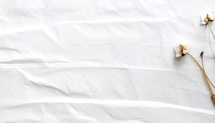 White Textured Paper Background with Dried Flowers