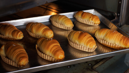 Freshly baked salted butter roll bread on baking tray inside oven, Golden brown texture homemade bakery concept, warm and delicious pastry background, ready to serve buns in small local bakery kitchen