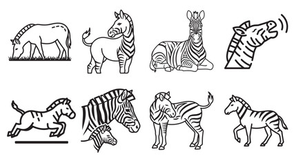 A collection of eight black  line art illustrations of zebras in various poses and actions.
