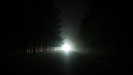 Car headlights shining through fog on a dark road in the forest