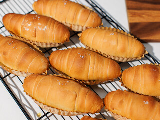 Top view of freshly baked salted butter roll bread on baking wire rack tray, Golden brown texture, homemade bakery concept, warm delicious pastry background, ready to serve buns in small local kitchen
