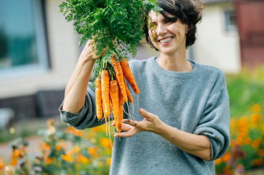 Smiling person holding freshly harvested carrots in summer garden