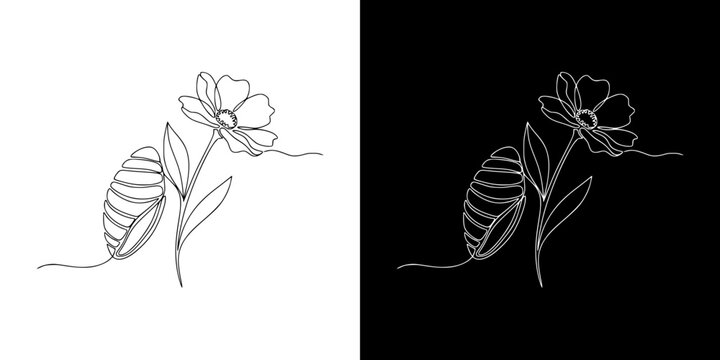 Cocoon transforming into a blooming flower illustration, isolated vector image in line art style, two design options on transparent and black backgrounds
  
