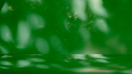 Abstract and minimalist background wall and floor green. Natural light casts soft out-of-focus shapes shadows leaves and tree branches