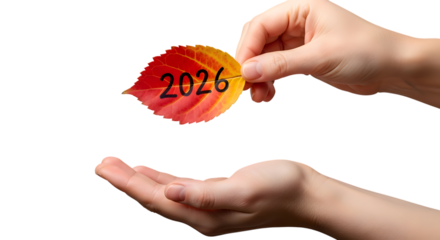 Close up of hands holding a red and yellow maple leaf with the year 2026 on a black background Keywords: 2026, year, new year, autumn, fall, leaf isolated on a transparent background