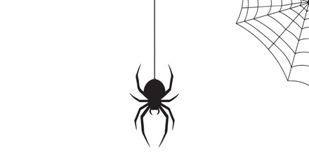 Silhouette of a spider hanging on a thread with a spiderweb