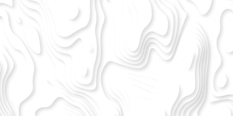 Abstract background vector Abstract wavy line 3d paper cut white background. Abstract pattern with lines. Abstract sea map geographic contour map and topographic contours map background.	