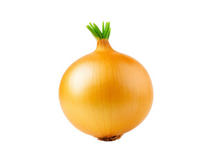 Yellow onion with green sprout isolated on transparency background, fresh vegetable with smooth skin, healthy food ingredient, natural produce for cooking, kitchen, and salad preparation