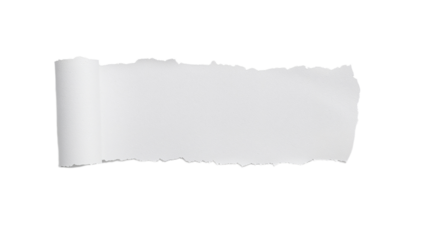 Torn white paper scrap with a rolled edge, isolated on a clean background, showcasing texture and imperfection for creative projects