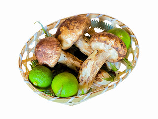 秋の味覚　松茸とすだちのかご盛り 