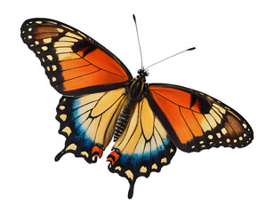 Fototapeta premium Colorful butterfly with delicate wings showcasing vibrant array of colors floating gracefully isolated on transparent background