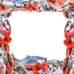 Frame seafood isolated