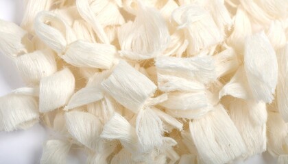 Off-White Paper Pulp Fiber Macro Texture