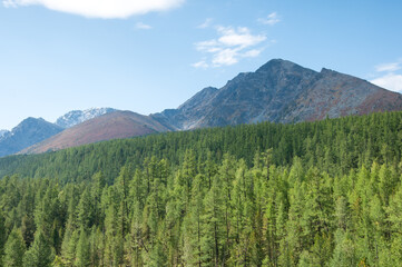 Part of Kuiguk valley with green forests and mountain peaks in the background, Russia, the Altai Republic