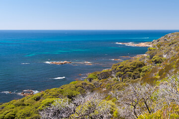 Fototapeta premium Australian coastal landscape with lush greenery and ocean horizon, great for editorial use, travel brochures, or sustainable living visuals. Flora of Western Australia. 