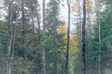 Landscape by the Sulustaddalen Valley, Toten, Norway, October 2025.