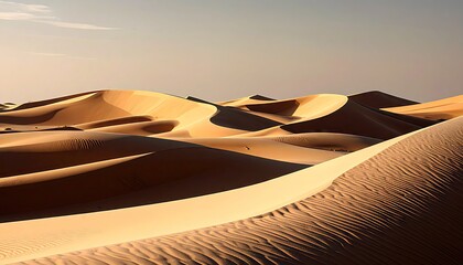 Expansive Golden Sand Dunes Under a Clear Sky