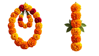 Two variations of traditional marigold garlands showcasing cultural festivity isolated on transparent background.