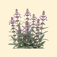 purple orchid isolated on black.