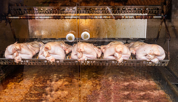 Row of whole chickens roasting in rotisserie oven