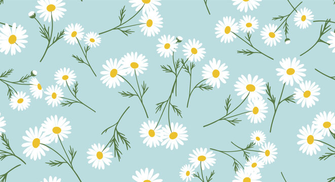 Delicate white daisies with yellow centers and green stems create a charming seamless pattern on a serene light blue background.