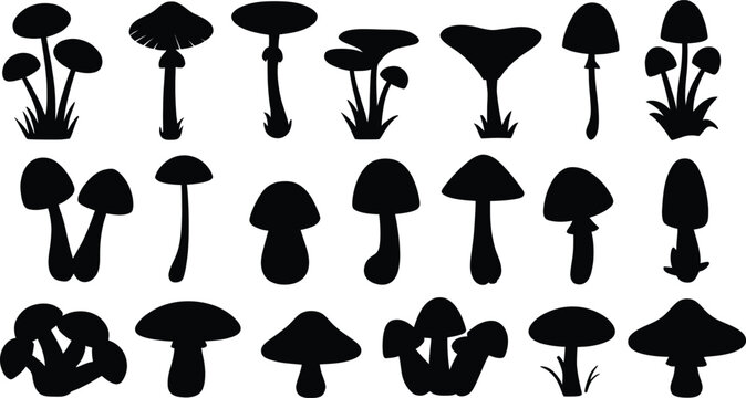 Collection of black mushroom silhouettes on white background fungi