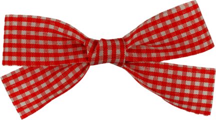 Red Festive Gift Ribbon Bow