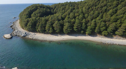 aerial view of the river
