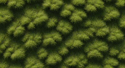 texture of green grass