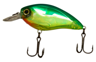 Prismatic glow on a green, yellow and orange fishing lure