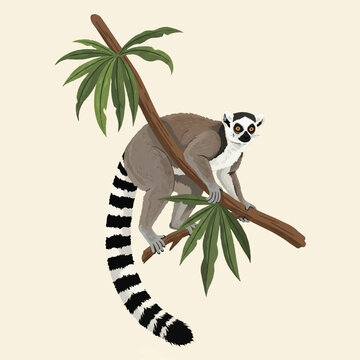 a playful lemur clinging to a tropical limb, tail coiled in graceful movement