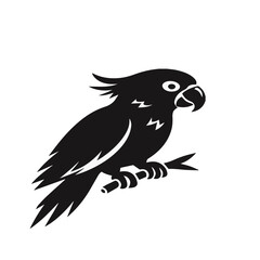eagle on a white background