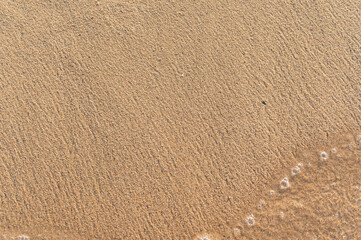 Sea Sand and Water Background in Olympiada, Greece