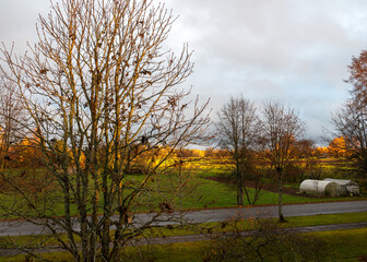 calm autumn landscape, park in autumn colors, colorful tree leaves cover the ground,