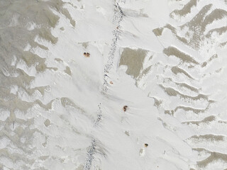 A Minimalist Coastal Landscape