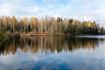 autumn landscape, lake shore, day by the lake, colorful trees reflecting in the lake water, Vaidava Lake, Latvia