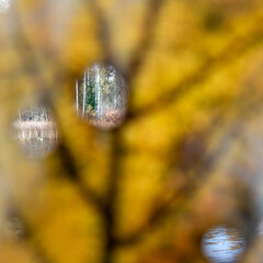 a hollow tree leaf, through the holes you can see the lake, autumn colors, fall